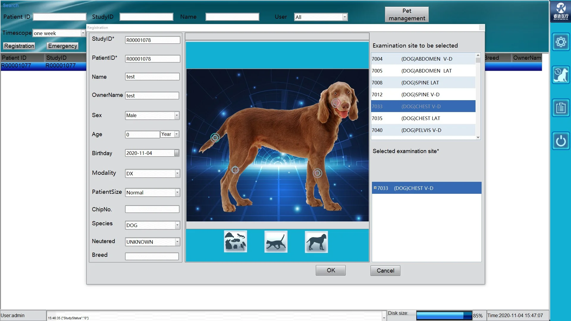 digital Vet X Ray Equipment Animal Pet Veterinary X-ray Machine for Dog