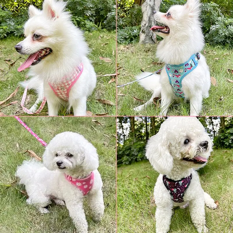 Factory Supplying Dog Harness Set Logo One Small Pet Collars Collar And Leashes