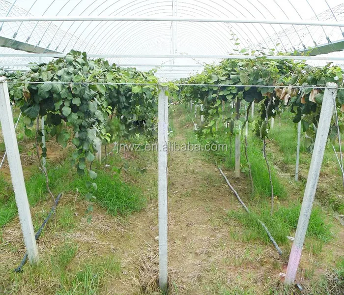 
Prefabricated Concrete Pillar Making Mold In Jordan 