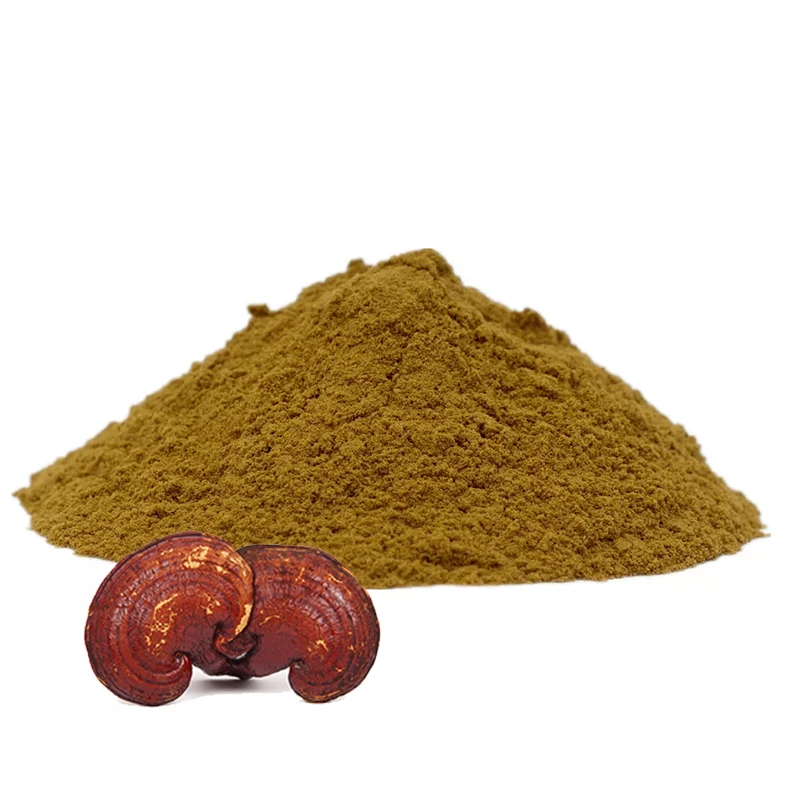 Pure Natural Reishi Mushroom Extract Reishi Polysaccharides Triterpenoids powder