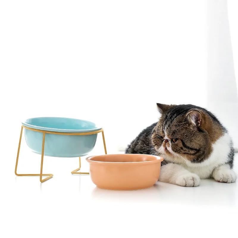 Travel Pet Feeder With Stainless Steel Stand Ceramics Cat Dog Bowl For Pet