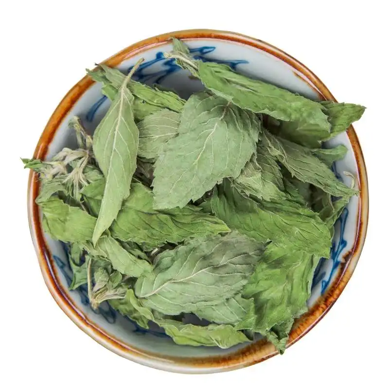 Wholesale most popular pure natural mint leaves