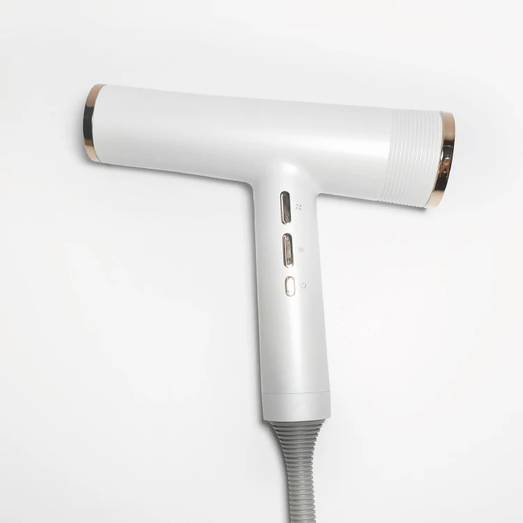 Factory Price Best Price Private Label Professional Hair Dryer Salon Hair Dryer Ionic