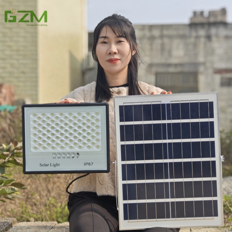 Solar powered outdoor courtyard lights for home use new rural street lights high-power LED projection lights