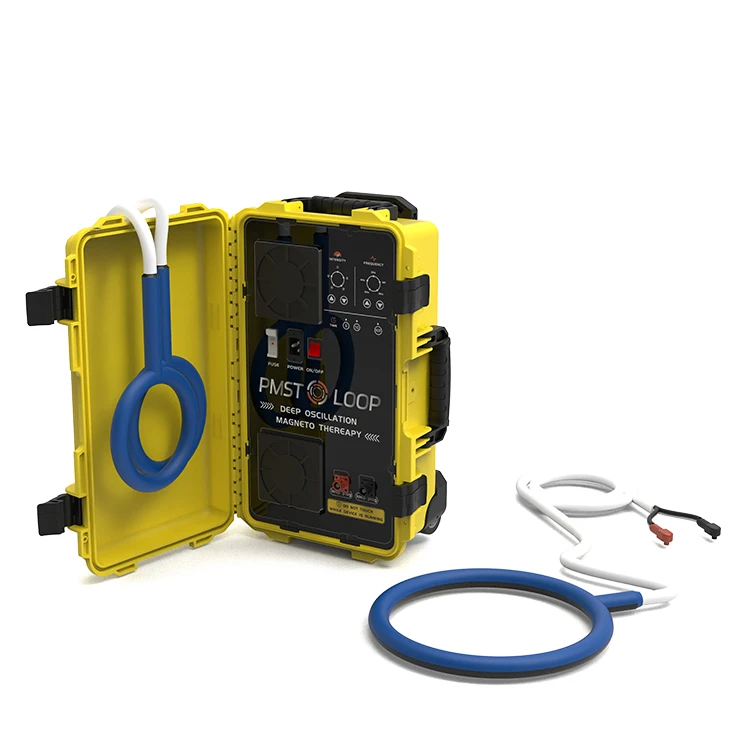 Pemf 6000 Gauss Double Loop Pain Relief Physio Pmst Magneto Physiotherapy Magnetotherapy Pulsed Electromagnetic Field Therapy