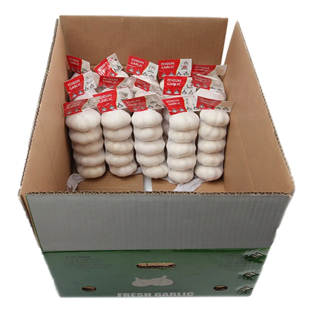 5CM ABOVE SIZE CHINA GARLIC IN 10KG CARTON 10KG MESH BAG EXPORT ASIA STANDARD