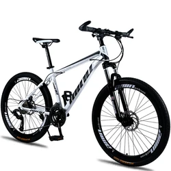 2021 New Chinese Aluminium 21 Speed 26 Inch Sports Bicycle Frame Mountain Bike