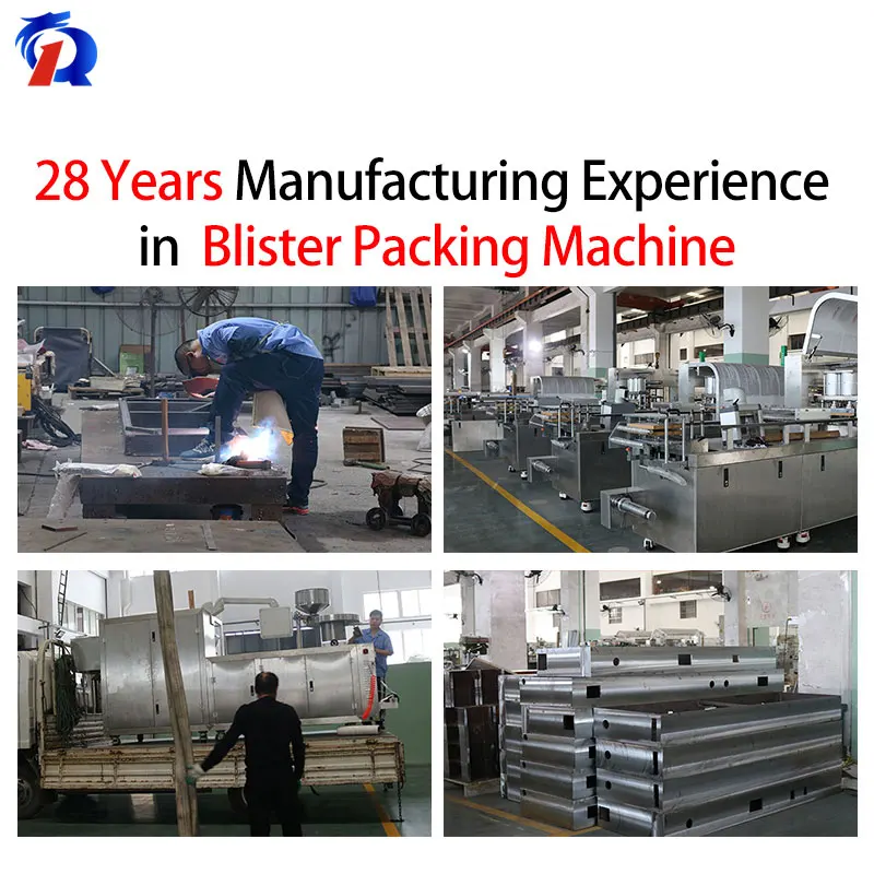 DPP260S Automatic Fast Blisters Packer Machinery Automated Mini Dose DPP 260 Liquid Blister Packing Machine