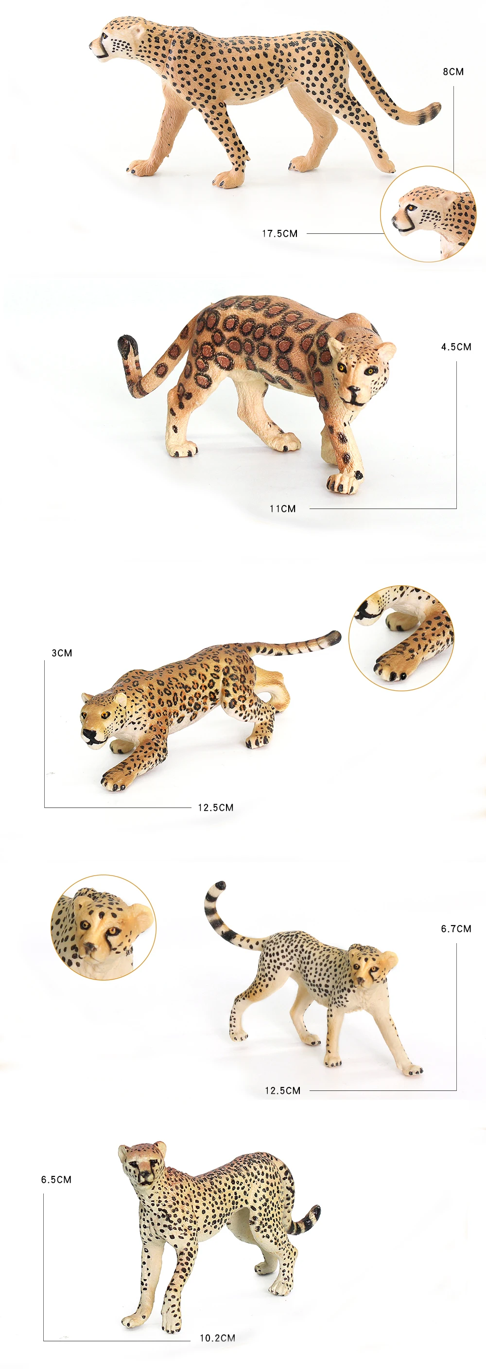 leopard(1)