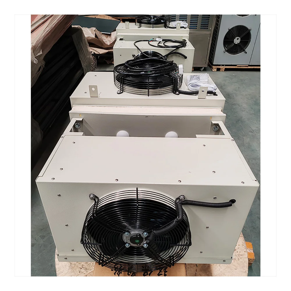 Best Selling Chiller Cold room for icecream storage wall mounting type  mono block system Brand Compressor Cold room