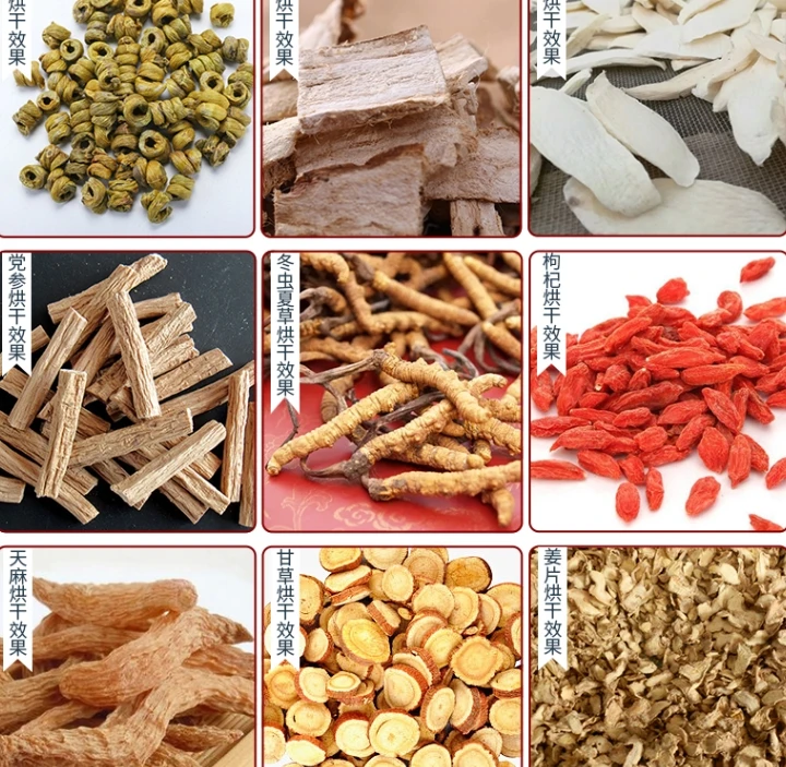 
Plastic for wholesales fruit and vegetable cutting machine 