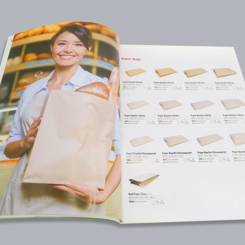 Custom Printing Coated Paper Catalogue Magazines Brochures Folding Flyer Pamphlet Booklet Instruction Manual Leaflet
