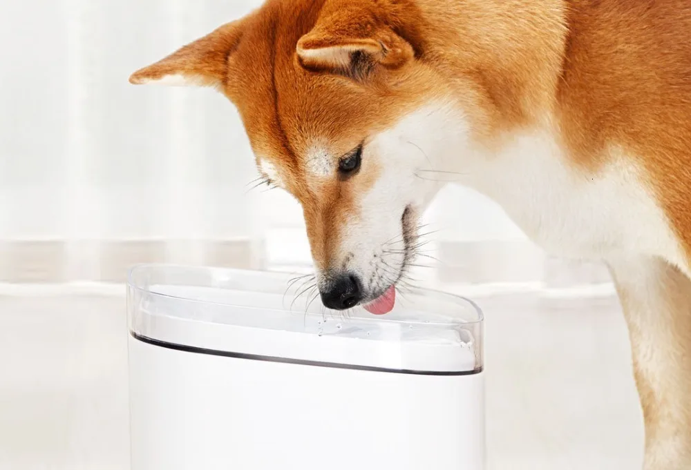 CE ROHS FCC 2.5L Tuya Automatic Wif Food Drinking Water Filter Dispenser For Pet Dog