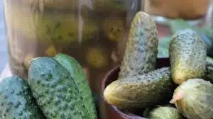 Pickled Fermented Cucumbers Price