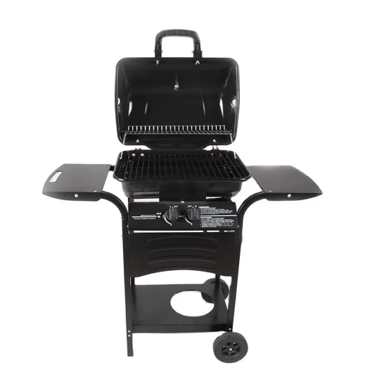 Hot Selling Backyard Outdoor Propane / Butane Gas BBQ Grill 2 Burners