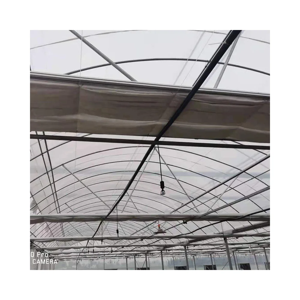 
Vegetable greenhouse elliptical tube vegetable farming tomato farming 