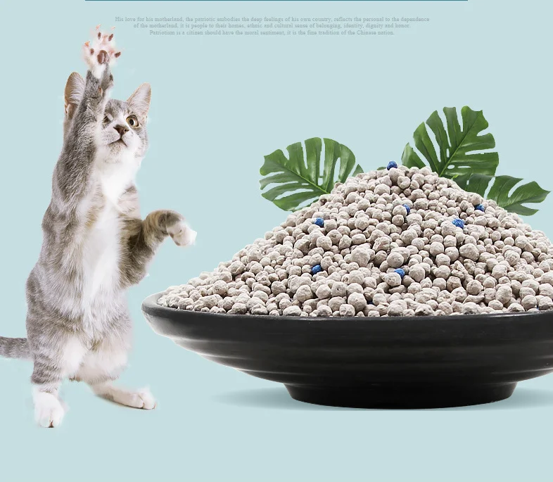 World Best Cat Litter Bentonite Clay Sand Deodorizer Strong Clumping Dust Free Best Cat Litter