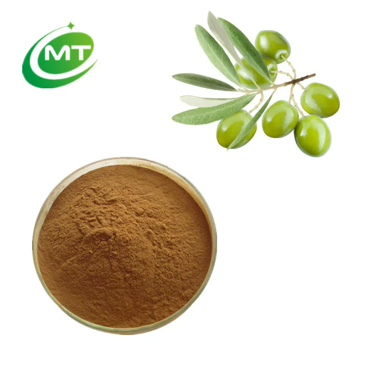 Free Sample 100% Natural Olea Europaea L Olive Leaf Extract Powder