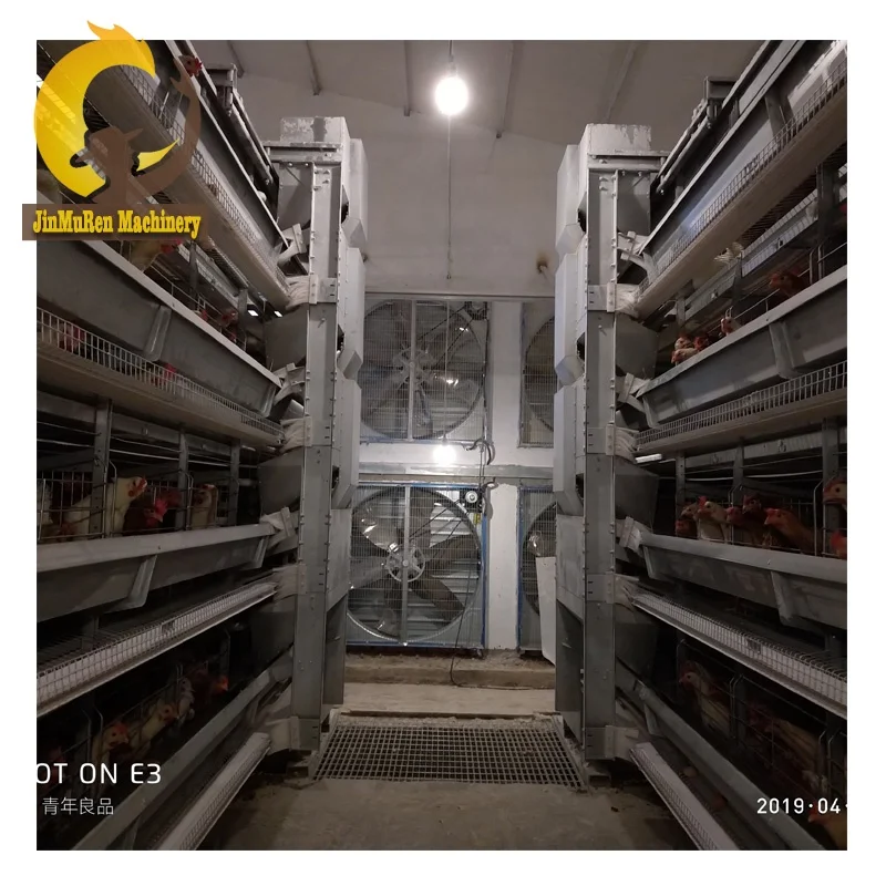 Jinmuren Factory Making H Type Chicken Farming Equipment with Automatic Feeders Drinkers for Laying Hens