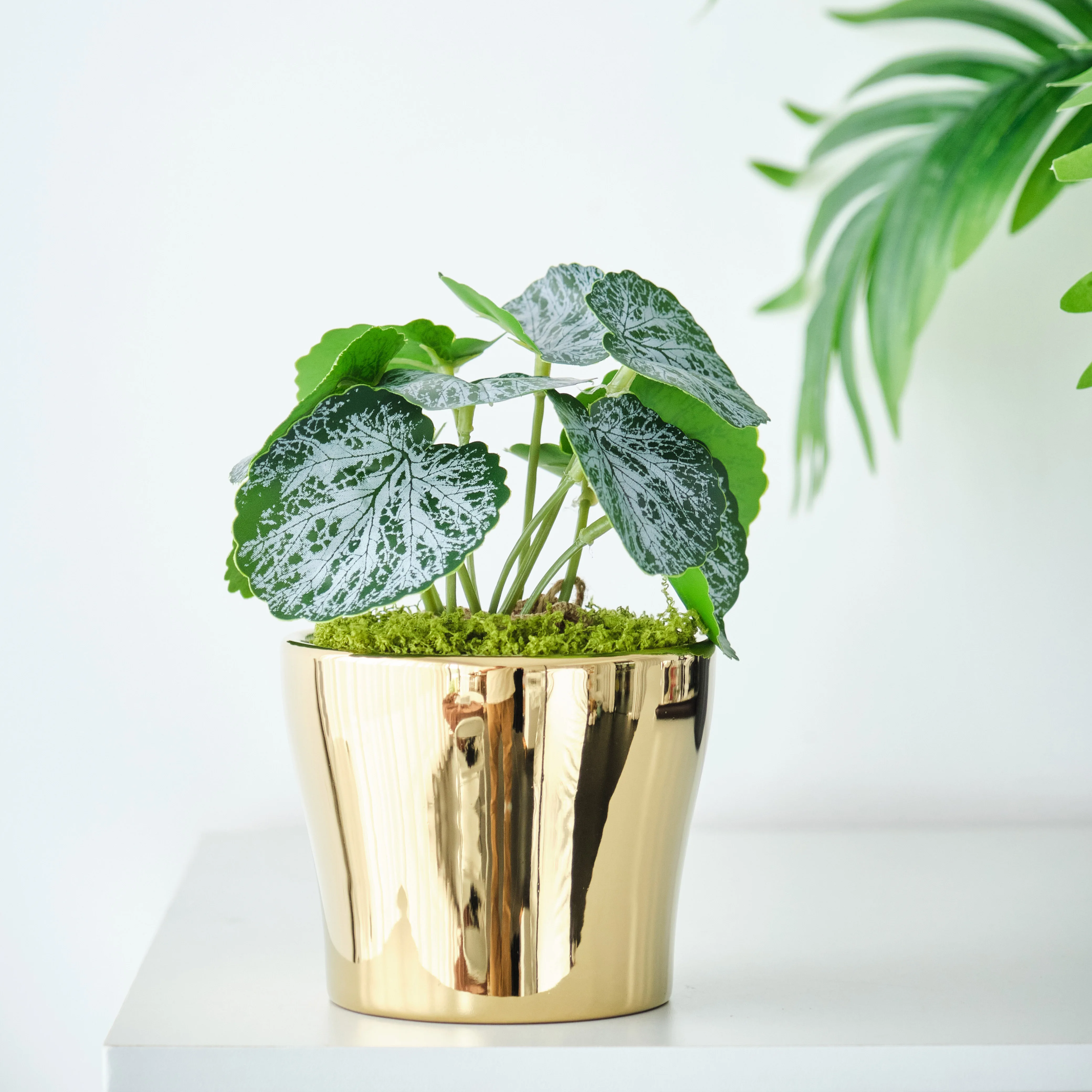 Wholesale Custom Services Modern Design home decoration Golden Flower pot garden Ceramic flower pots