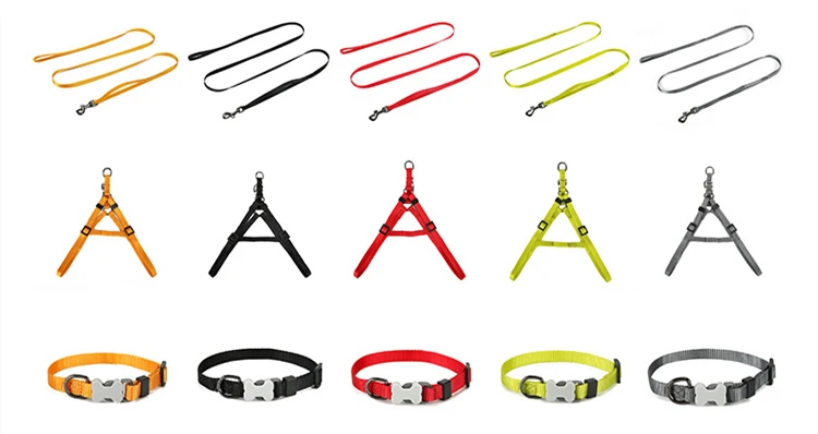 Tiny Pet Series Pet supplies dog leash set  dog collar harness leash whole set