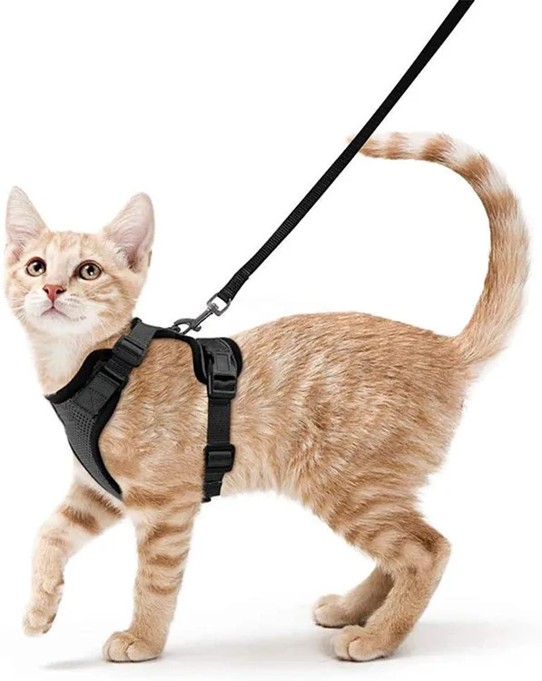 Cat Harness and Leash Set Breathable Escape Proof Kitten Adjustable Cat Vest Harness With Reflective Strip Safety Wire Pet Harne