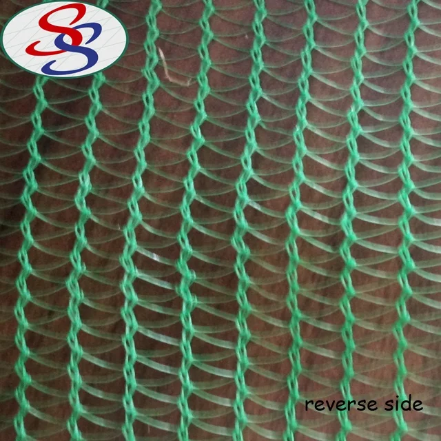 wholesale olive tree collect harvest net