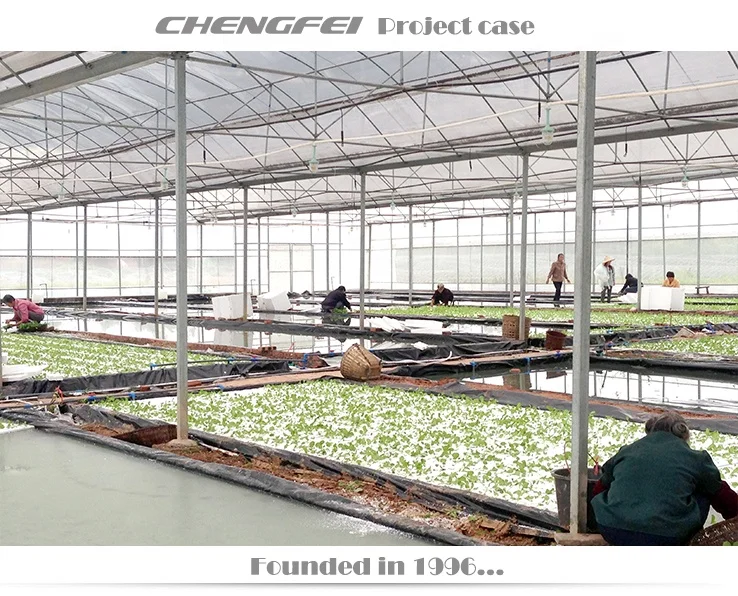 Коммерческие системы Aquaponics оцинкованная стальная конструкция пластиковая пленка коммерческая теплица из