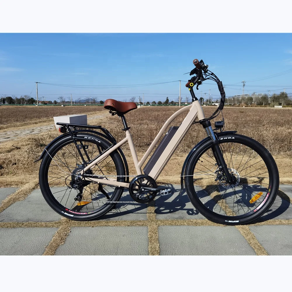 2021 Vintage 48V 14AH Battery Electric City Bike 48V 500W 27.5 Inch Step Through Ebike for Women