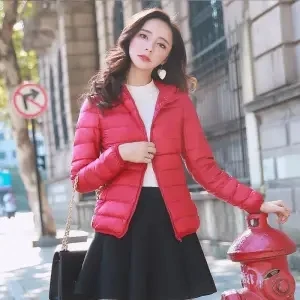 RedHK High Quality Wholesale Outdoor Light Warm Duck Feather Custom Logo Nylon Hooded Winter Bubble Puff Filled Down Puffer Coat