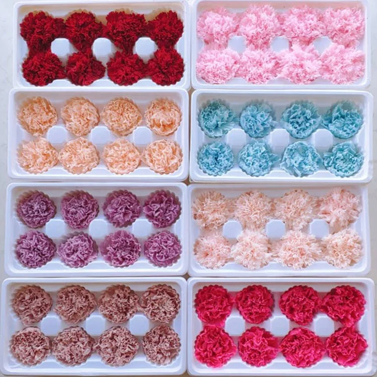 2024 Hot sale preserved Flower Real Touch Carnation Decorative Flowers Wreaths carnation flowers