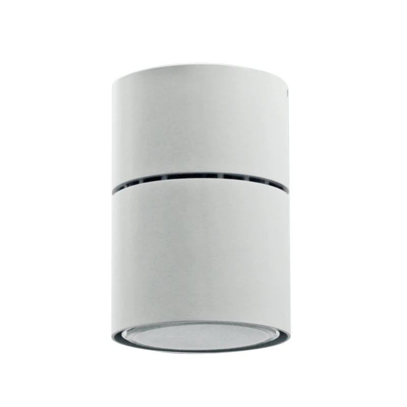 European standard led ceiling light downlights surface mounted luminaires 40W