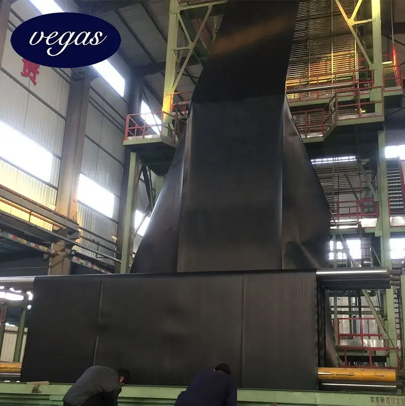 High Quality 1.0mm 2.0mm Water Waterproof Membrane  Fish tank dam pond liner price HDPE Geomembrane