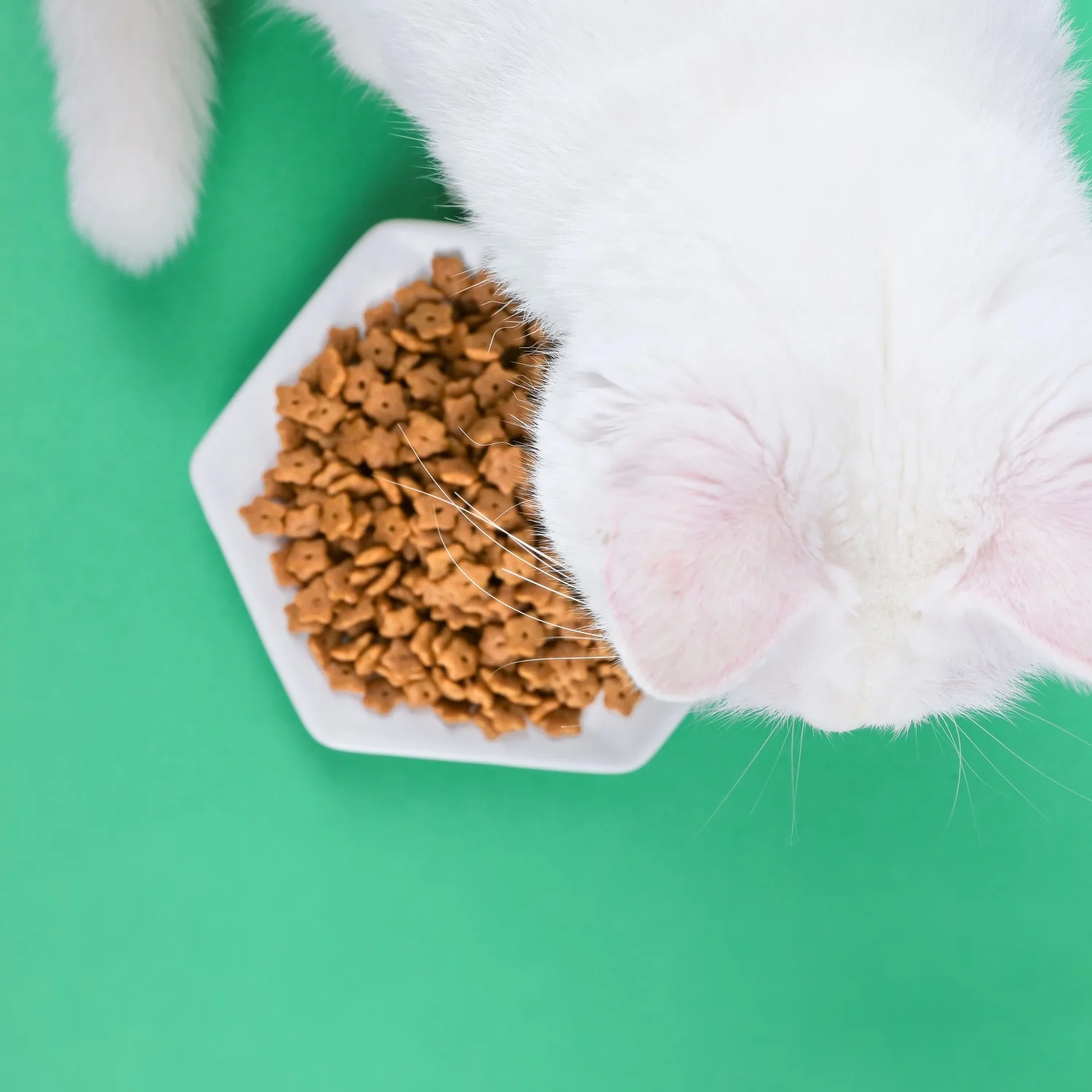  Котенок кошка рыба курица оптом еда для домашних животных сухой корм кошек Горох