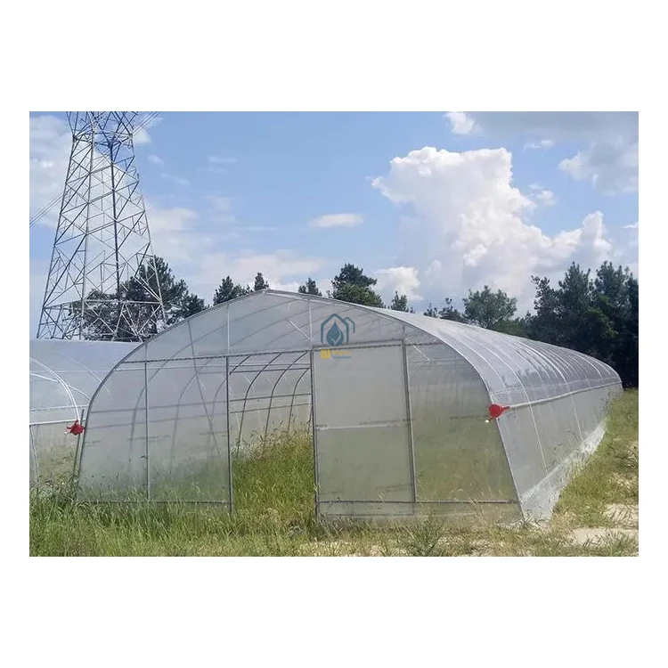 Greenhouses Agriculture Commercial Tunnel Frames For Sale Single-Span Green House Greenhouses