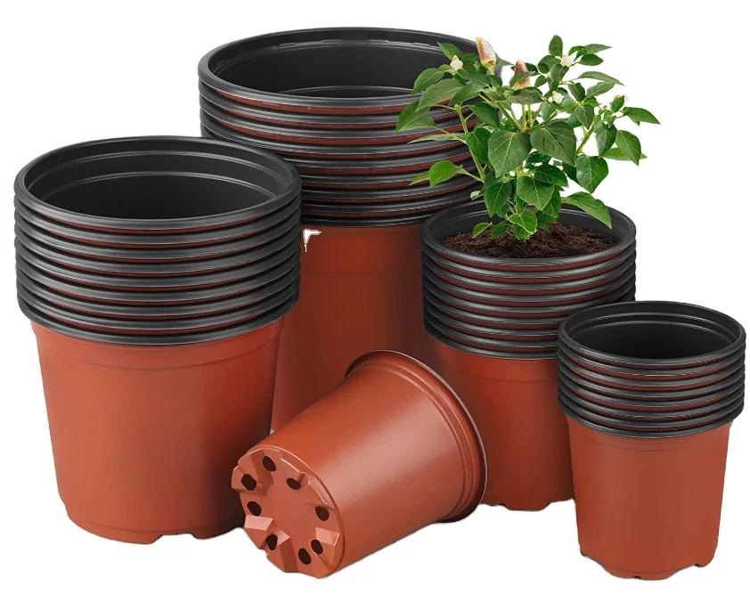 Durable 128 Cell Plant Germination Tray Vegetables Flowers Nursery Garden Seedling Plastic PET Square 128 Holes Seed Starting