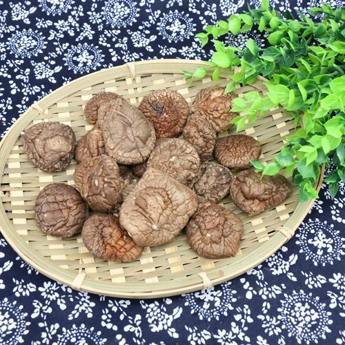 
Wholesale Chinese Dried Sale Bales Shiitake Mushroom Organic 