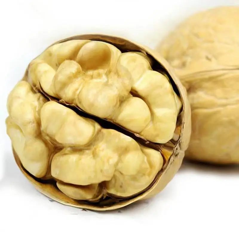 New Product Sales 30-32mm Healthy Walnut Fresh Organic Sweet Walnuts