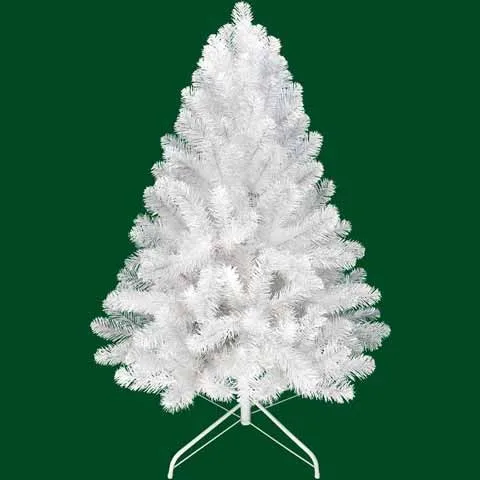 4-7 foot white pencil pine Christmas tree and Shimmering white mountain spruce hinge Christmas tree flocking