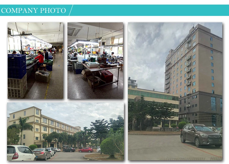 Factory Manufacture High Quality Digital High Display Best Stopwatch & Timer