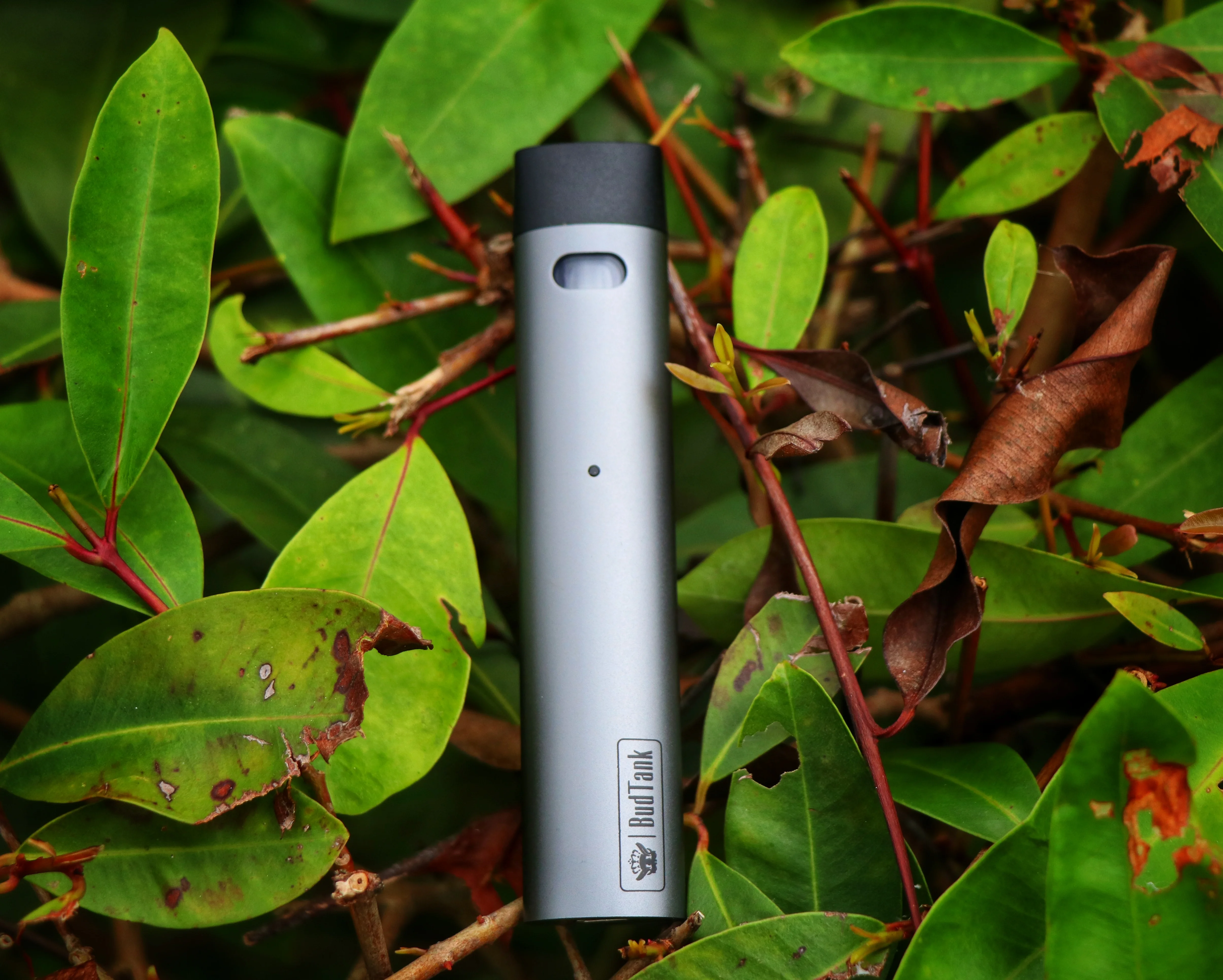 Апошнія прадукты vaporizador cbd vapes .5 мл картрыдж керамічная ручка vape