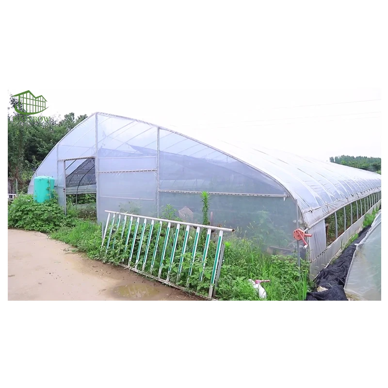 Small Tunnel Agricultural Plastic Greenhouse for Vegetables and Flowers