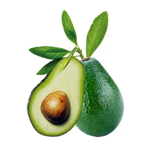 
Hass Organic Fresh Mexican Avocado Fruit 