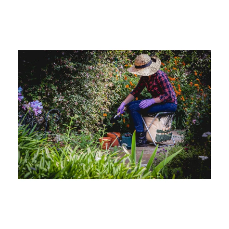 heavy duty garden hand tools gardening chair Small Mini Succulent Bonsai Trowel