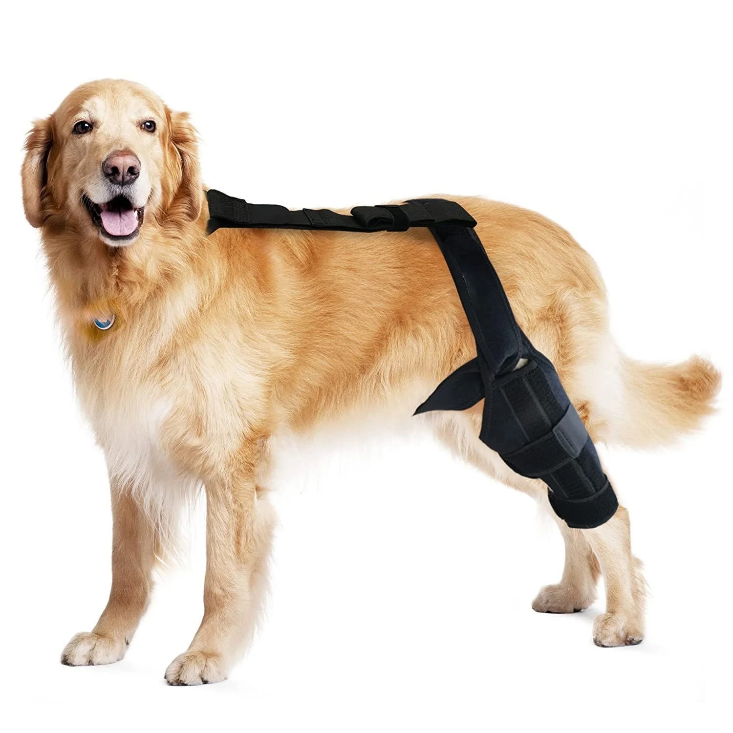 Dog Knee Stifle Brace Wrap Strips Adjustable Knee Brace Support Dog Legs Protector Dog Knee Brace