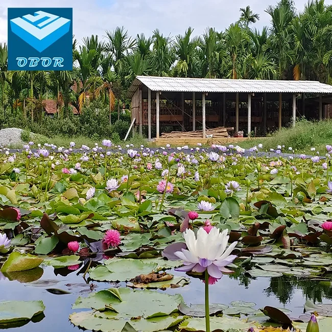 geomembrane hdpe 1mm artificial pool fish pond lake tank liner dam liner pond liner manufacturer price geomembrane