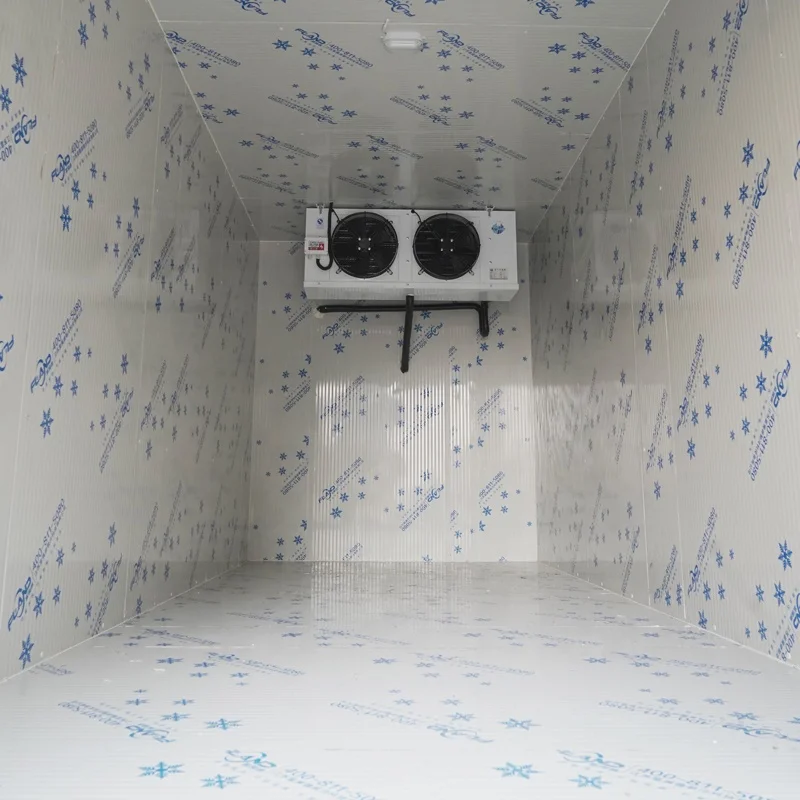 Walk in Chiller Cold Room Manufacturer Cold Storage Freezer Room with Refrigeration Equipment