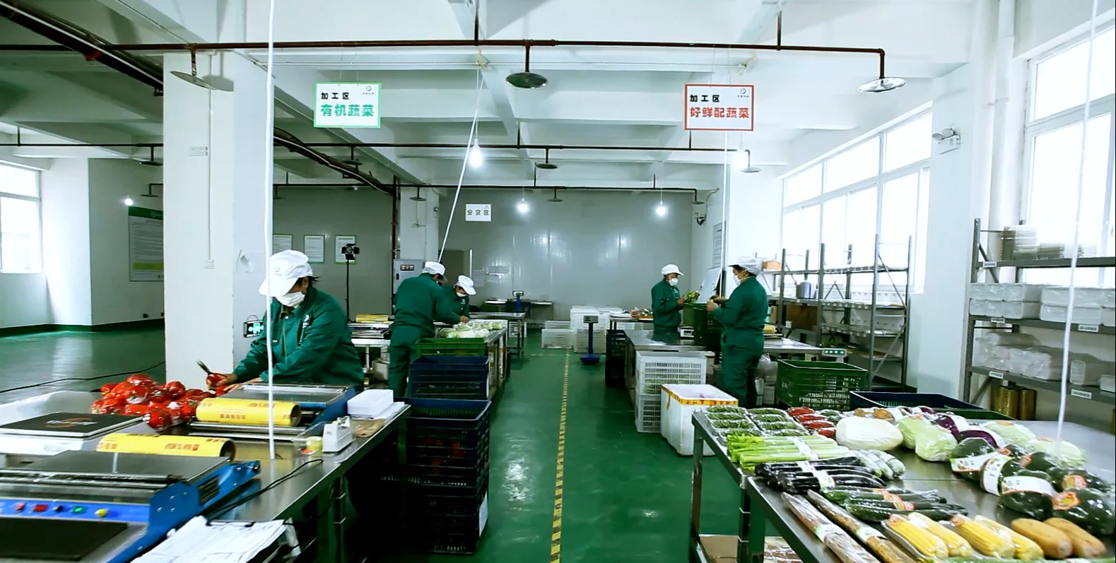 
2021 Hot selling newest grown fresh magic mushrooms 