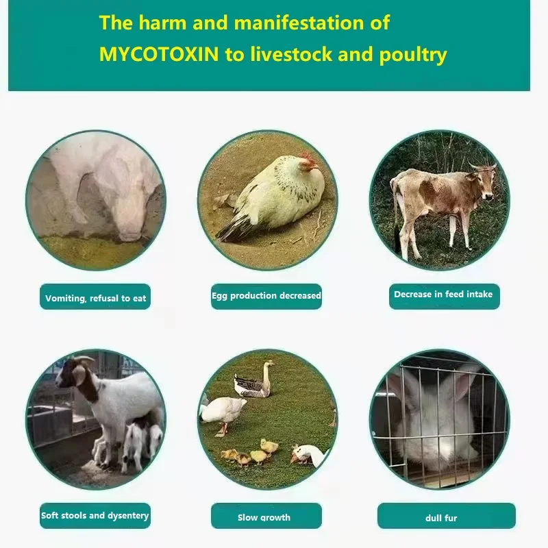 HZM Feed Additive Modified Montmorillonite Mycotoxin Binder