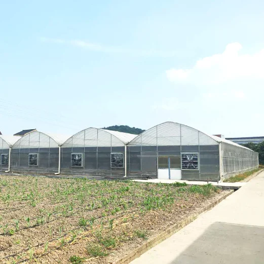 Manufacturer wholesale single arch shed internal and external thermal insulation strawberry greenhouse